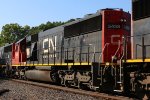 CN 5438